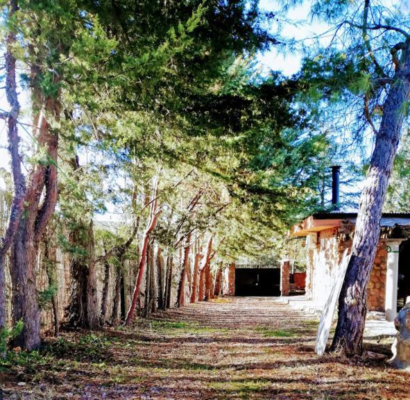 La Cabana De Piedra Ruidera Extérieur photo